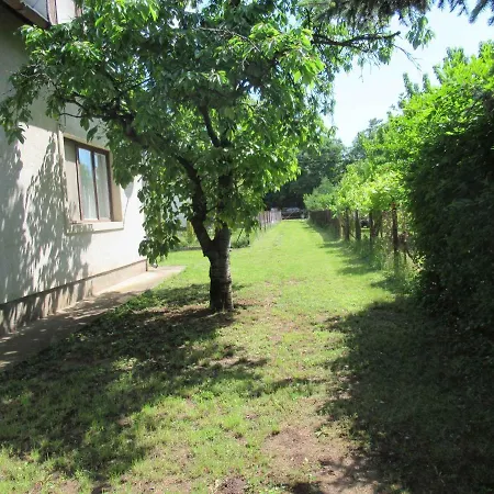 Prázdninový dům In Csopak/balaton 18315